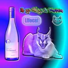 Lifecat - My Life Got Lost In Translation [Meow Mix]