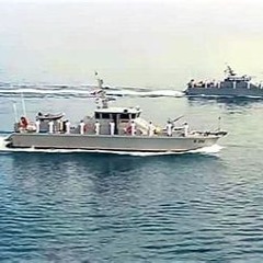 P213
