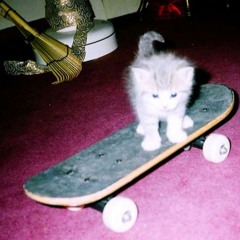 no checks remix ft reckkord