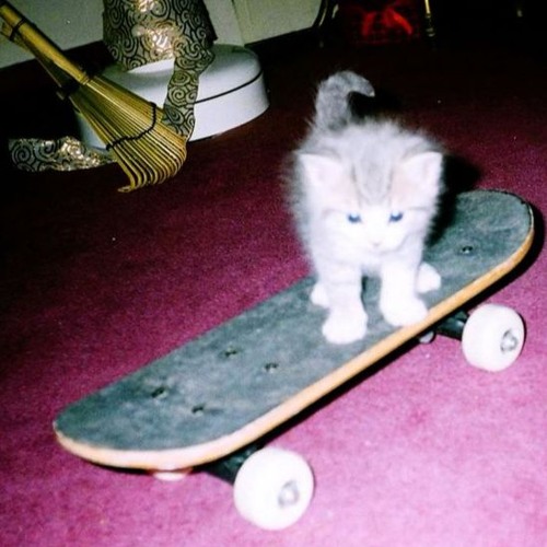 no checks remix ft reckkord