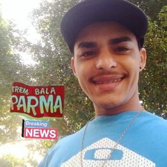 MONTAGEM - ALO DICK 1, ALO  DICK 2, ALO  PAROPEBA  - (( DJ DG DO DICK E DJ DN DE CAXIAS )) PARMA 🚩✌