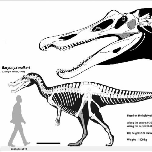 Baryonyx