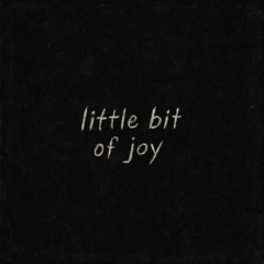 little bit of joy