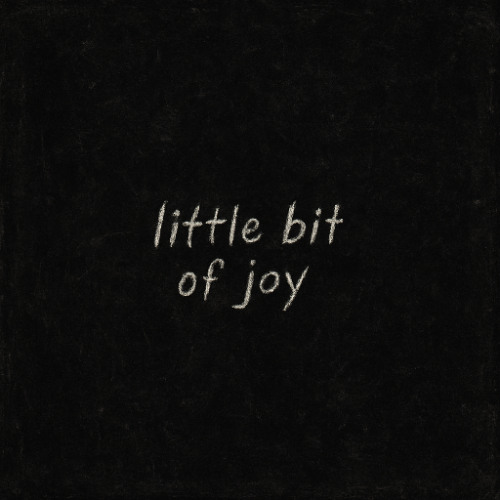 little bit of joy