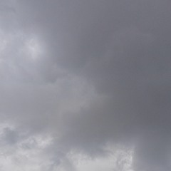 صامت لو تكلما.