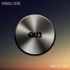 Randall Dean - Mad Feelings - Quantize Recordings