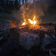 Guidad meditationsresa  "Elden" - SVENSKA