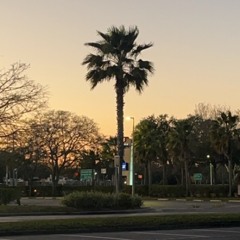 soul 4 the trunk (w/ maxhunnid)