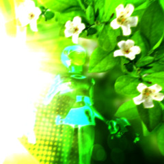 ecology
