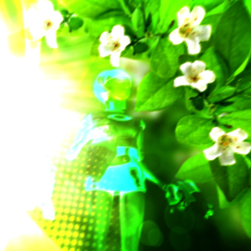 ecology