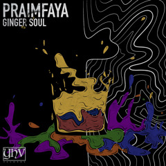 Ginger Soul - Praimfaya (Original Mix)