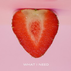 What I Need