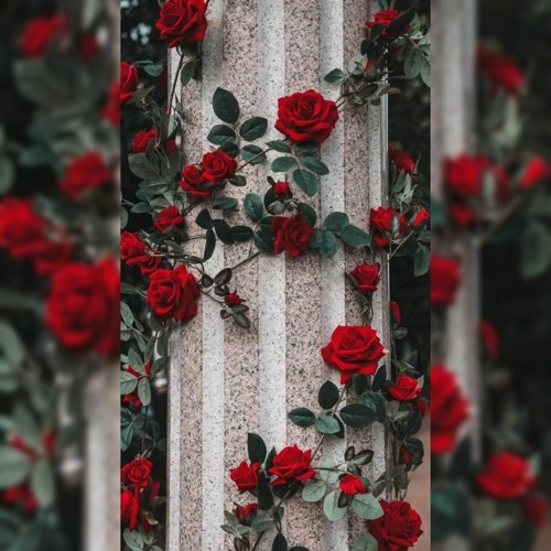 Z-DEEP -Nostalgia (Original Mix)