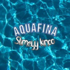 aquafina remix
