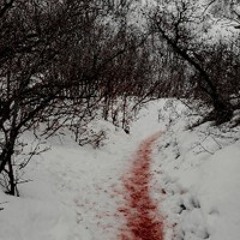 I am quiet, i bury no one, blood is drying beneath my nails. I do not know which me it belongs to.