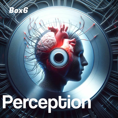 Perception (VIP Mix)