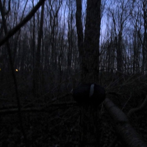 ST6 JodyBoof - Slippin