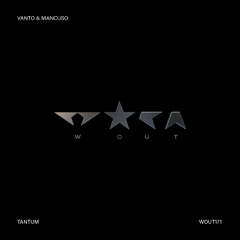 Vanto & Mancuso - Timeless Pulse [Wout Records]