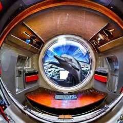 Submariner ~ Doctor Dophin's breakout mix