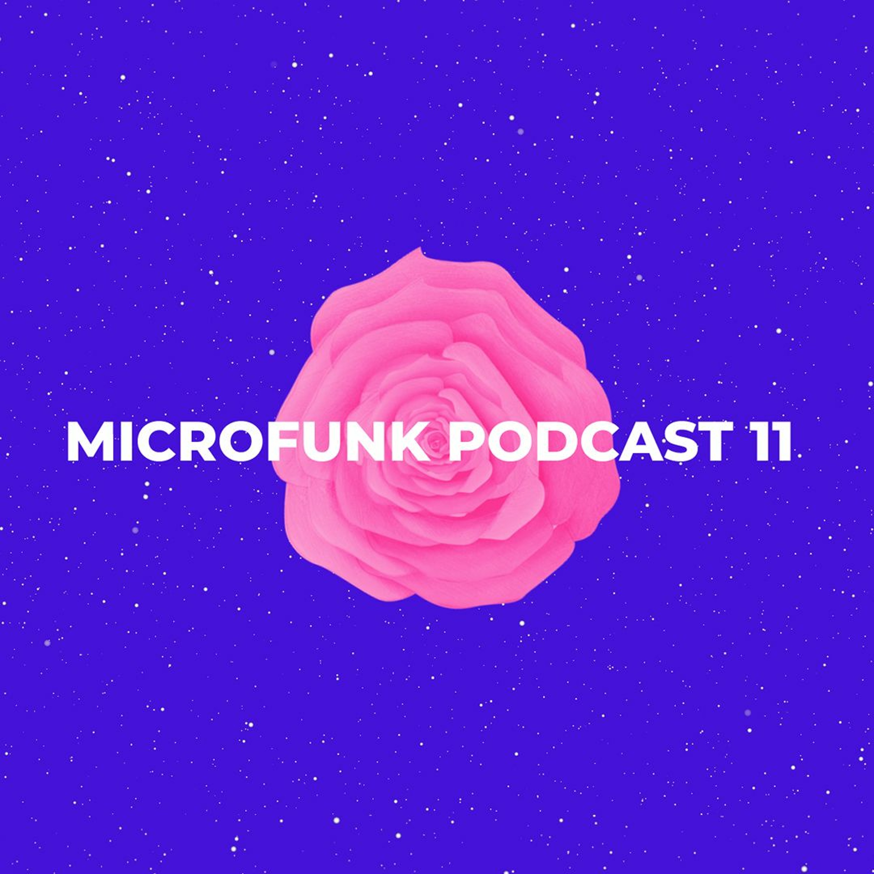 Nuage & Bop - Microfunk Podcast 11