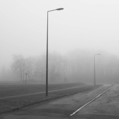 في مهب الريح