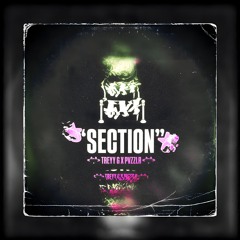 Section (Treyy G & PVZZLR FLIP)
