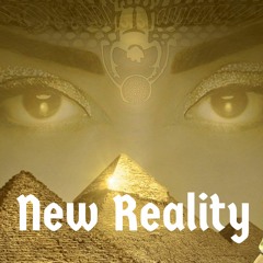 New Reality.mc