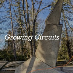 Growing Circuits