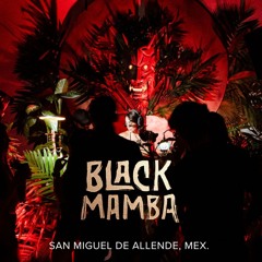 🌚 Black Mamba Vol. 7 | Jul 2024📍San Miguel De Allende 👹 By Odette