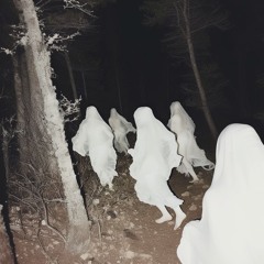 Ghost Hunt