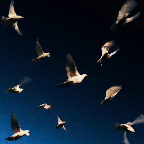 Artwork for the song  SWIM - Are U The One by SWIM on Next Sound