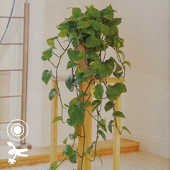 001 Candice - Shapes of Soul