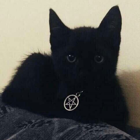 type o negative – IYDKMIGTHTKY (speed up)