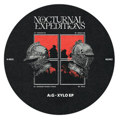 A:G - Xylo EP