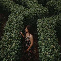 Love's labyrinth of feelings