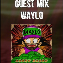Waylo - Senzu Beanz EP Promo Mix for WiddFam on Sub.FM