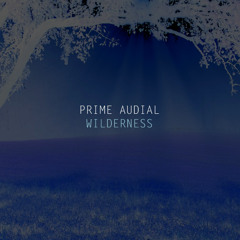 Prime Audial Wilderness (radio edit)
