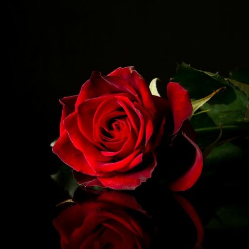 An Unstoppable Force