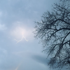 NostraVida (w/Fratello, Yuntino)