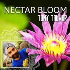 Nectar Bloom