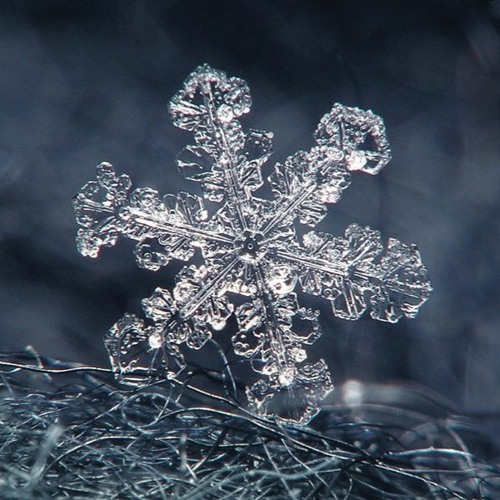 December 2020 Mix (Tier 4 Sessions)