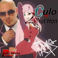 Pitbull X Pháo - Culo VS 2 Phút Hơn - (Zoundrops Mashup)