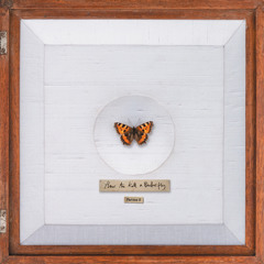 Found That Funny (feat. Jazz T)