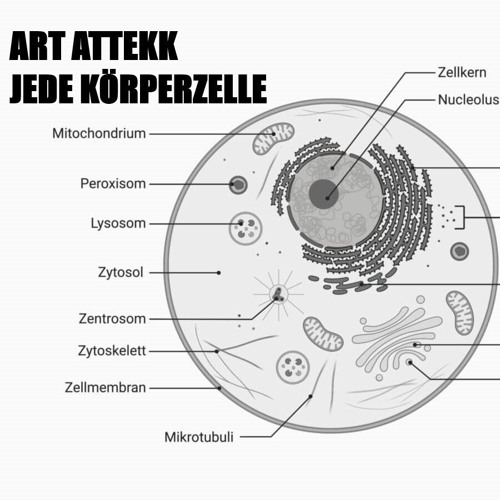 JEDE KÖRPERZELLE ( 190 HARDTEKK REMIX)