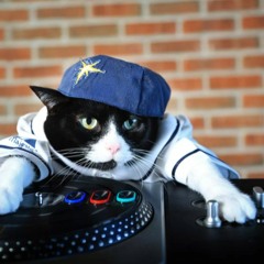 コンティニュエラコンティニュエラコンティニュ dance music background - (FREE DOWNLOAD)