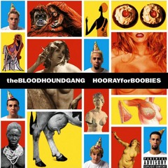 Bloodhound Gang - The Bad Touch (MorpheuZ Remix)