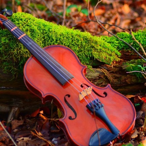 Asquith background loop ​🔊 ​FREE DOWNLOAD