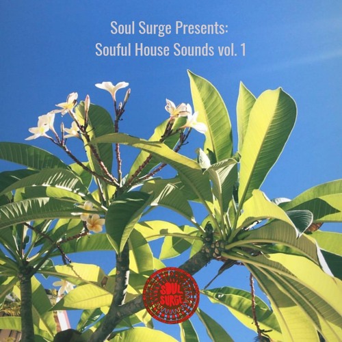 Soul Surge Presents: Soulful House and Amapiano Vol. 1