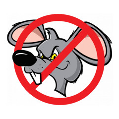 No Rats