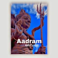Aadram[HAVS]2023